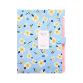 Plastic File Folder with 5 Pockets – A4 Size, Snap Closure