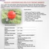 TELOGICA TL-Rfid- RW PASSIVE UNDERGROUND Rfid ELECTRONIC MARKER